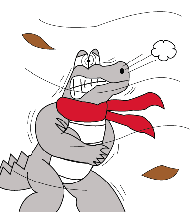Flash Card - Spike is Cold